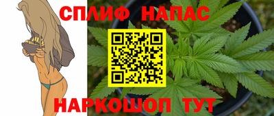 СК Нальчик