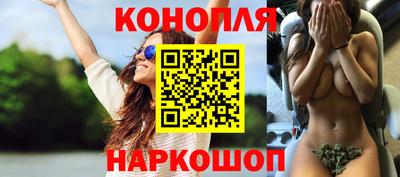 СК Нальчик