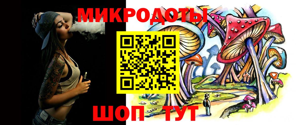 Галлюциногенные грибы Psilocybe Чайковский